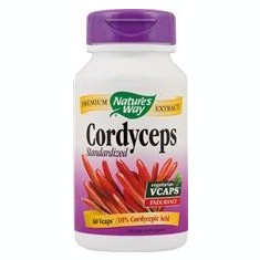 Antioxidanti - Cordyceps 500mg 60vcps Secom