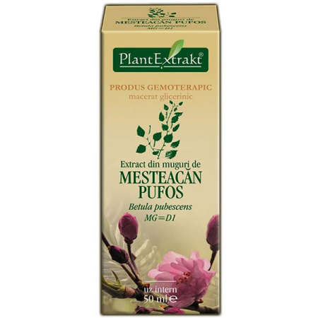 Tratamente naturiste - Extract din muguri de Mesteacan Pufos 50ml Plant Extrakt