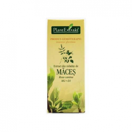 Tratamente naturiste - Extract Maces 50ml Plant Extrakt