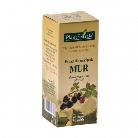 Tratamente naturiste - Extract Mur 50ml Plant Extrakt