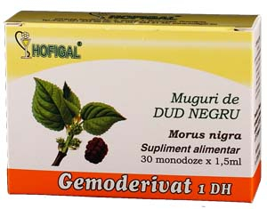 Extracte gemoterapice - Gemoderivat Dud Negru 30mndz Hofigal