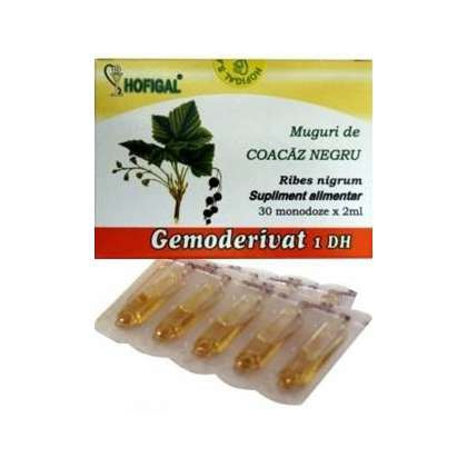 Extracte gemoterapice - Gemoderivat muguri  Coacaz Negru 30mndz Hofigal