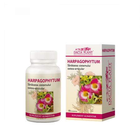 Sistem osteo-articular - Harpagophytum 60cpr Dacia Plant