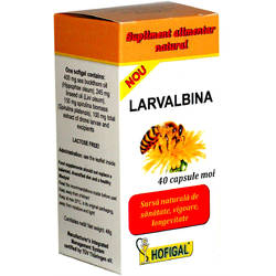 Sistem reproducator masculin - Larvalbina 40cps Hofigal