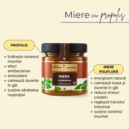 Miere cu Propolis 270g Apicola Pastoral Georgescu [1]