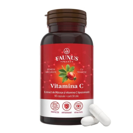 Sistem nervos - Vitamina C Lipozomala cu macese 90cps Faunus Plant