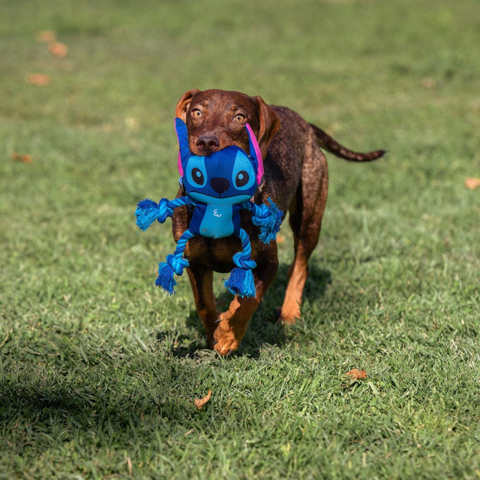 Jucarie pentru caini Disney Lilo & Stitch [5]