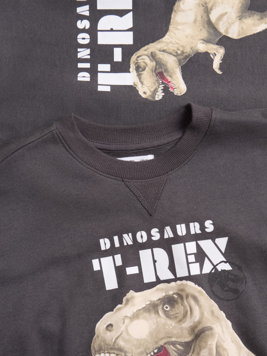 Compleu din jerseu, 2 piese T-Rex [4]