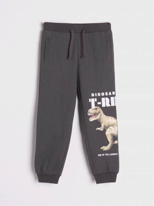 Compleu din jerseu, 2 piese T-Rex [3]