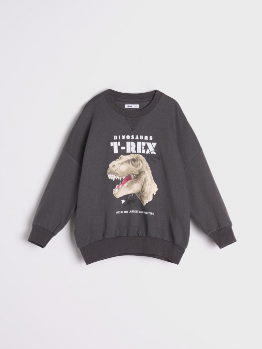 Compleu din jerseu, 2 piese T-Rex [2]