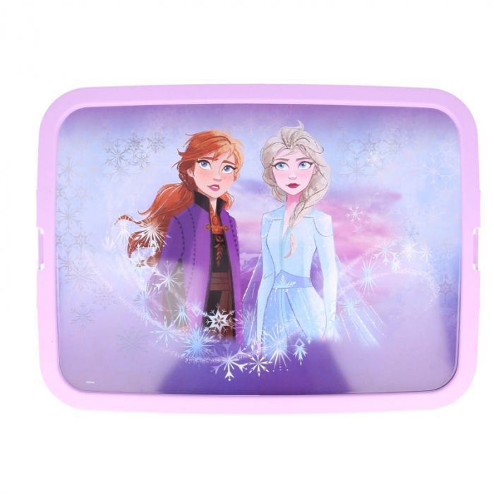 Cutie depozitare juc─ârii Disney Frozen Elsa&Anna, Plastic, 27x38,7x28,7 cm, 23 l [2]