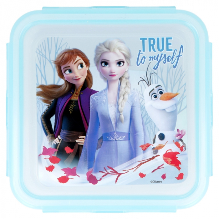 Cutie patrata pentru alimente, ermetica, Frozen, 500 ml [2]