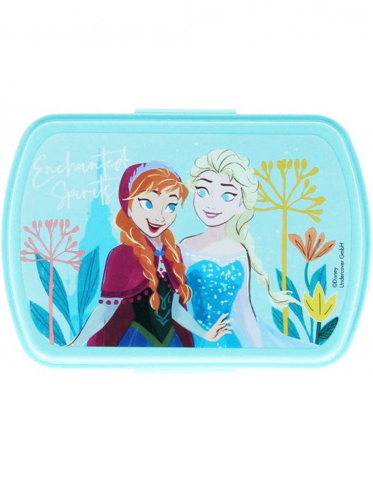 Cutie sandwich dreptunghiulara Frozen Spirits, 16x11x6 cm [2]