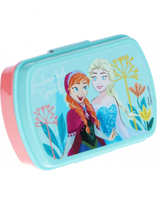 Set cutie sandwich si sticla apa din aluminiu 500ml Frozen Spirits [8]