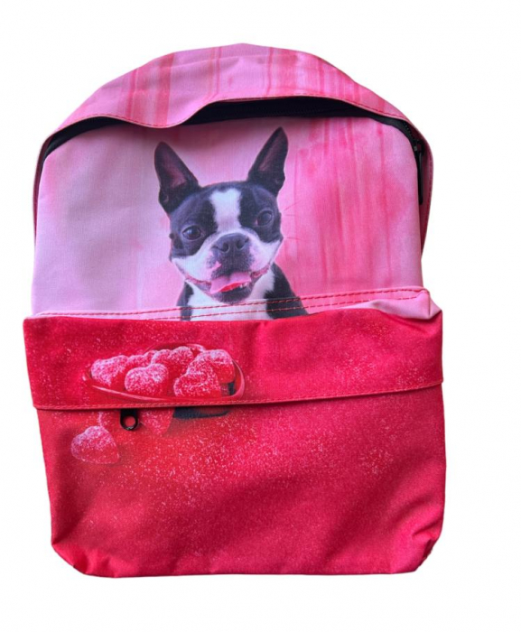 Ghiozdan gradinita roz Catel - My Way 23x14x34cm [2]
