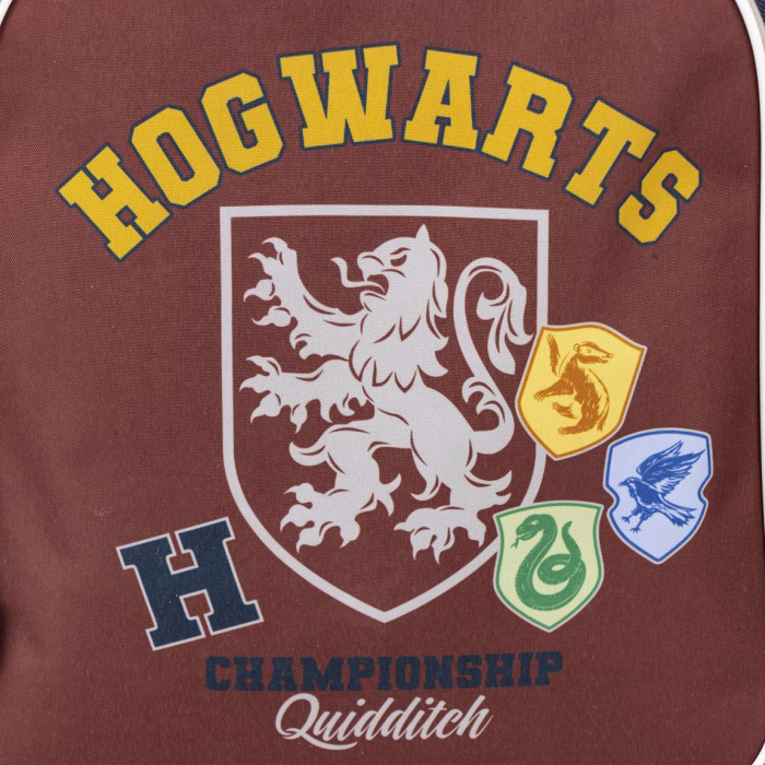 Ghiozdan scoala Harry Potter Quidditch 41x31x14 cm [4]