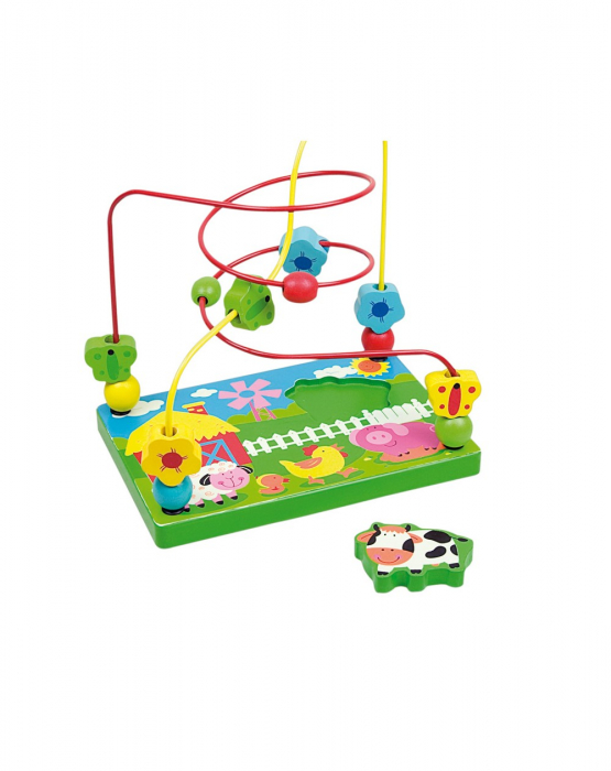 Jucarie dexteritate, lemn multicolor, labirint [2]