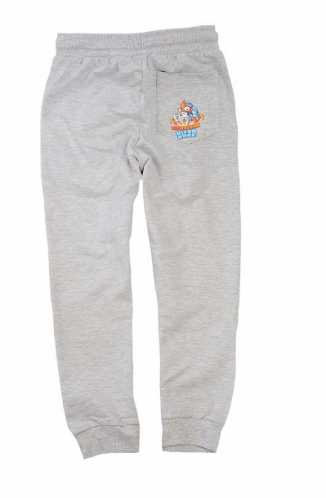 Pantaloni lungi gri trening SuperZings [2]