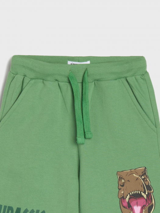 Pantaloni scurti Jurassic World [5]