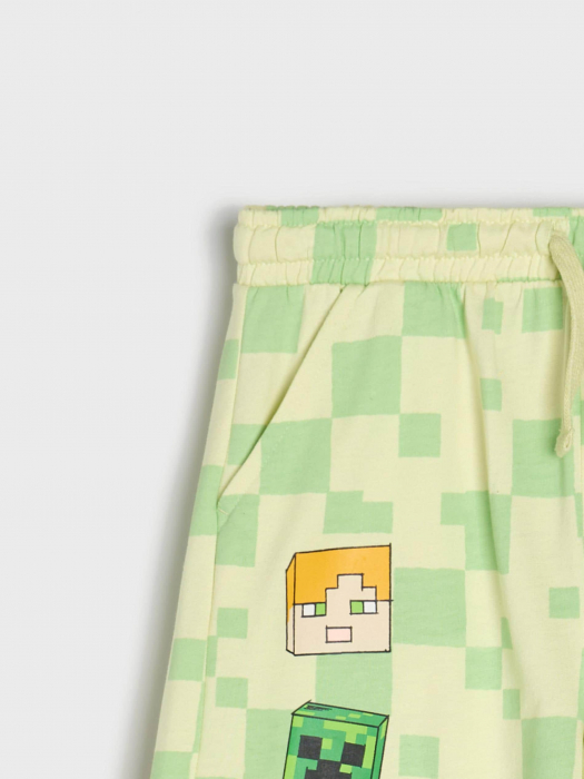 Pantaloni scurti Minecraft [9]