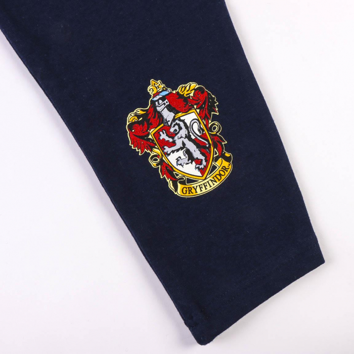 Pantaloni trening imprimeu Harry Potter Gryffindor [7]