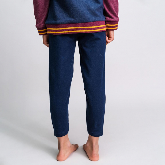 Pantaloni trening imprimeu Harry Potter Gryffindor [5]