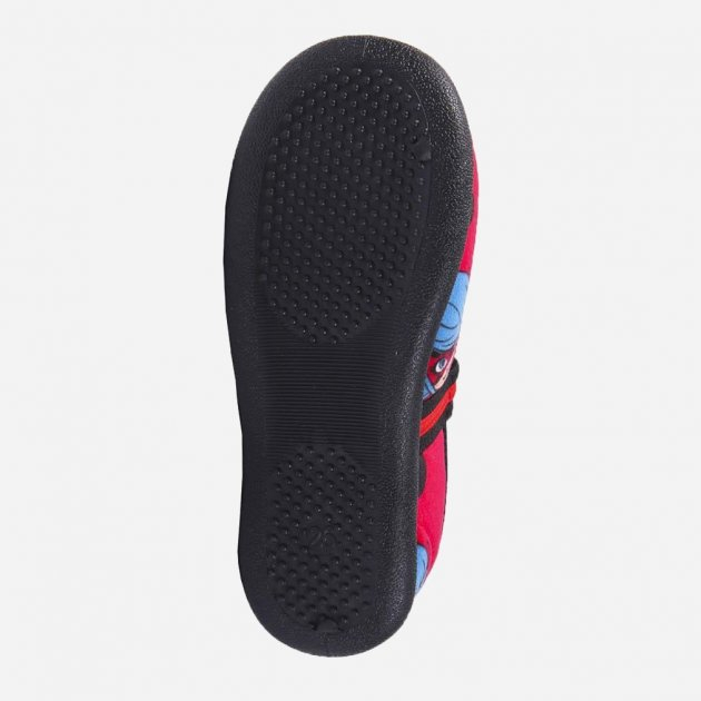 Pantofi de interior Ladybug, cu bareta elastica [4]