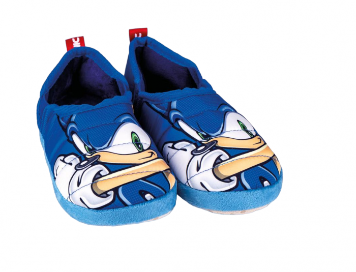Pantofi interior Sonic Fast [4]