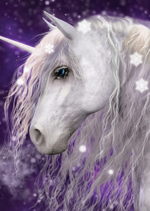 Patura fleece Unicorn 100x140 cm [1]