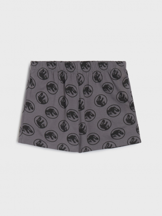 Pijama bumbac din doua piese Jurassic Park [3]
