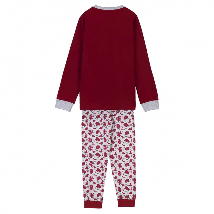 Pijama fete, maneca lunga din tricot Harry Potter, Wizzard in Training [2]