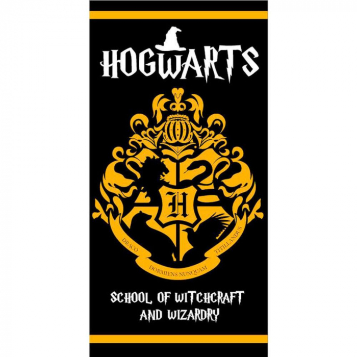 Prosop de plaja microfibra cu logo Harry Potter 70x140 cm [3]