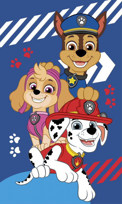 Prosop maini din bumbac Paw Patrol Blue Team 30x50 cm [1]