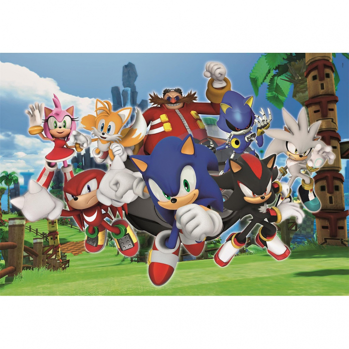 Puzzle carton Sonic the Hedgehog Characters 104 piese [2]