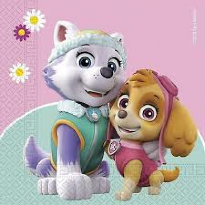 Set 20 servetele de masa Paw Patrol Skye And Everest 33x33cm [1]