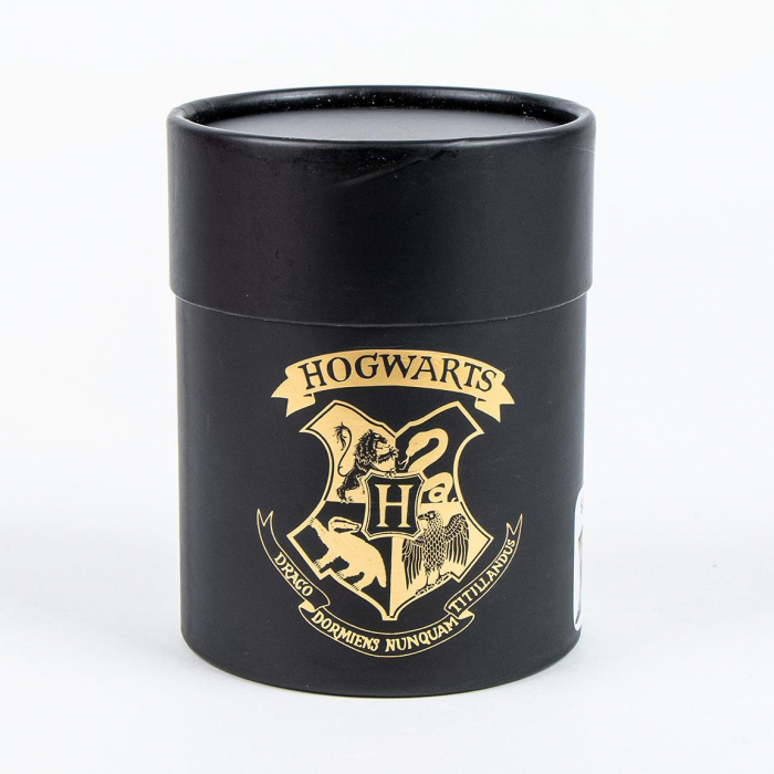 Set 3 perechi sosete groase in cutie cadou, Harry Potter M 38-45 EU [3]