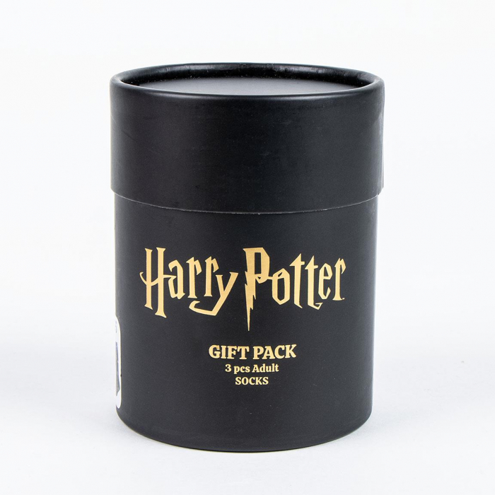 Set 3 perechi sosete groase in cutie cadou, Harry Potter M 38-45 EU [4]