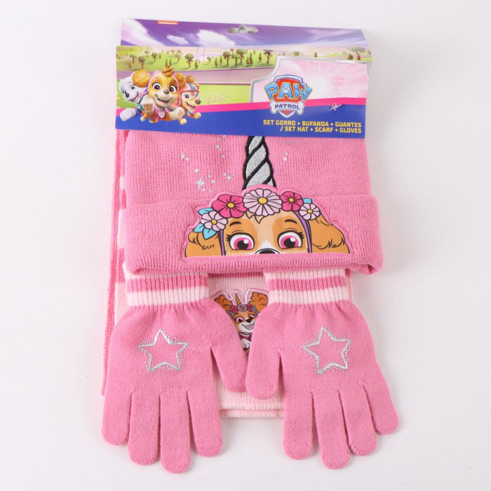 Set 3 piese pentru iarna din acril Paw Patrol Skye [8]