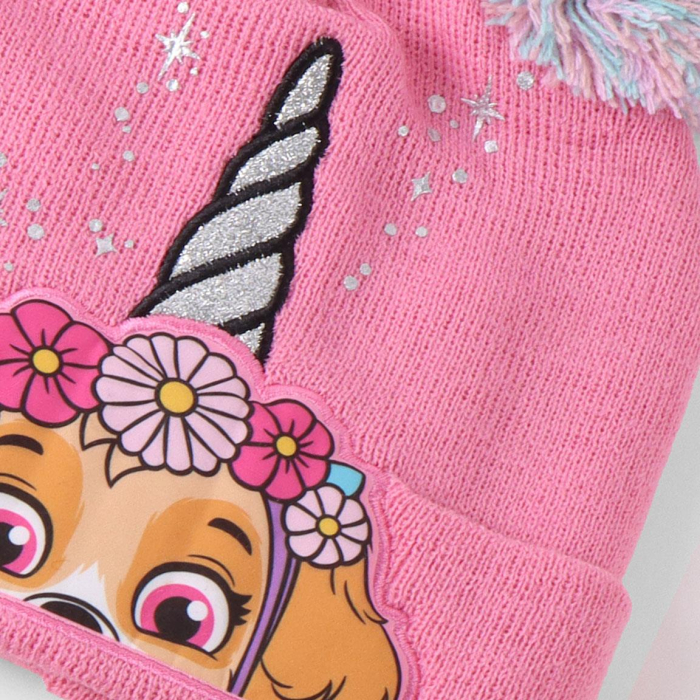 Set 3 piese pentru iarna din acril Paw Patrol Skye [7]