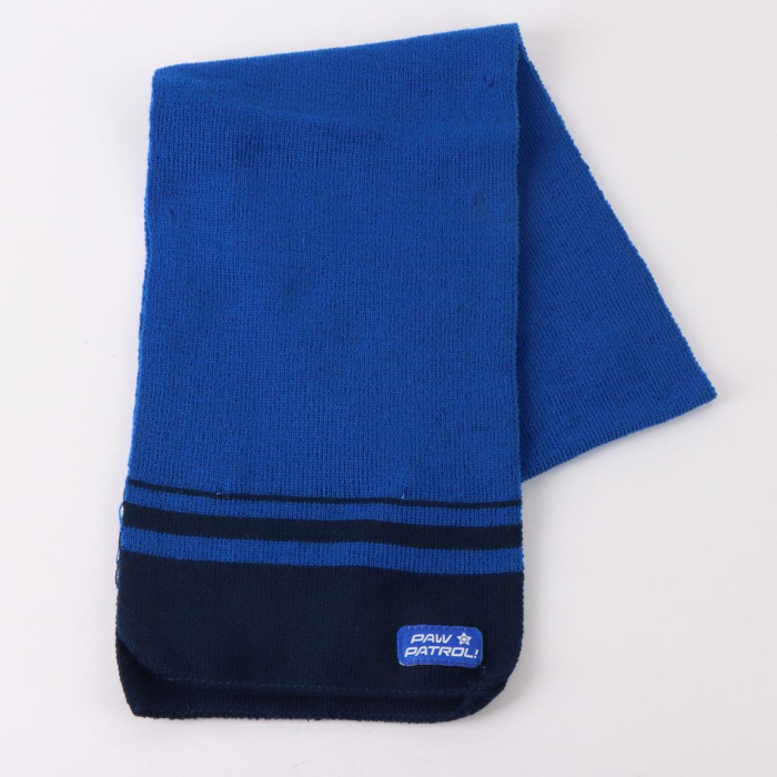 Set 3 piese pentru iarna din acril Paw Patrol Chase [6]