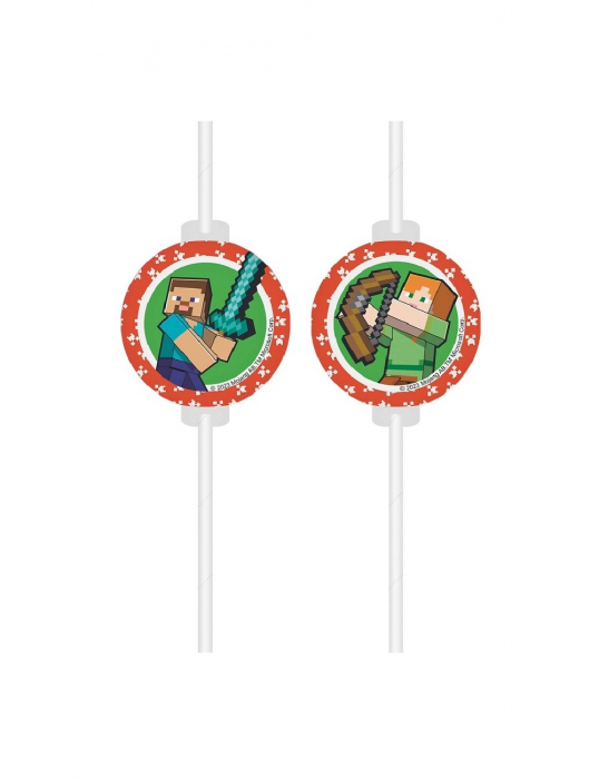 Set 4 paie de hartie Minecraft [2]