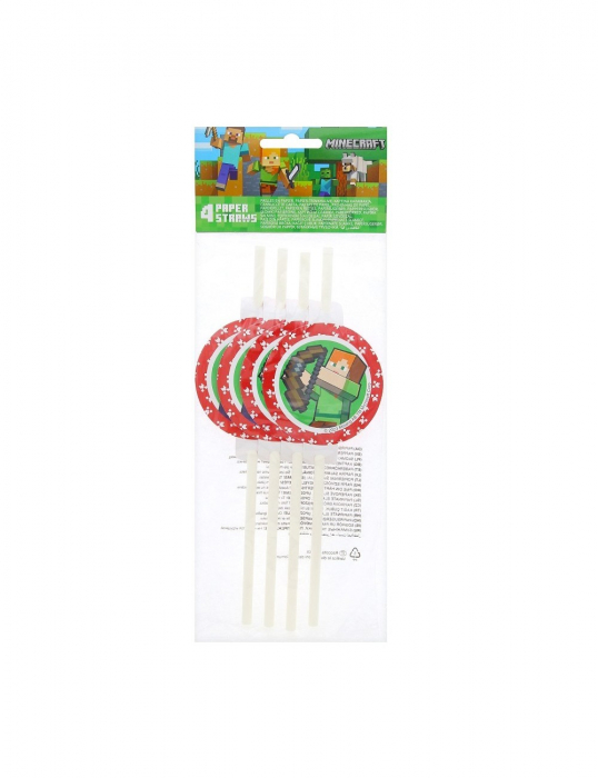 Set 4 paie de hartie Minecraft [3]