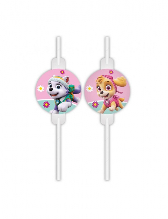 Set 4 paie de hartie Paw Patrol Skye And Everest [1]