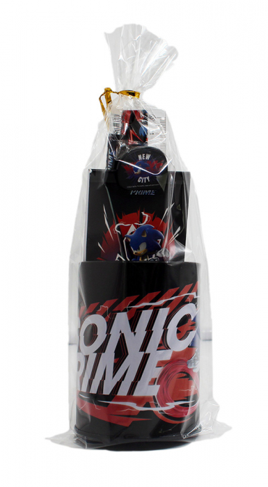 Set 7 rechizite Sonic the Hedgehog Get Me, metalic, 24.5x14x7 cm [2]