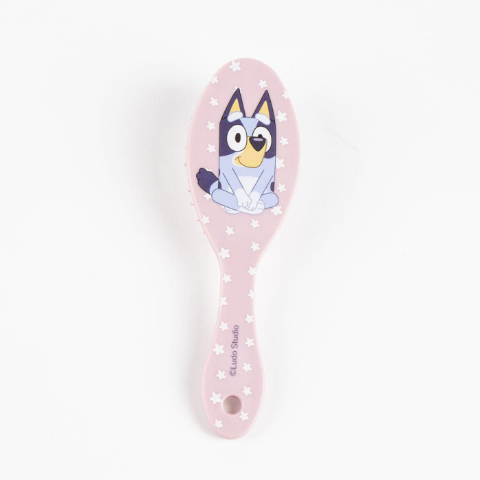 Set accesorii de păr cu design Bluey [2]