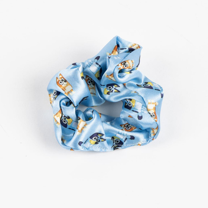 Set accesorii de păr cu design Bluey [3]
