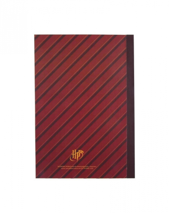 Set carnet si pix, Harry Potter Gryffindor A5 [4]