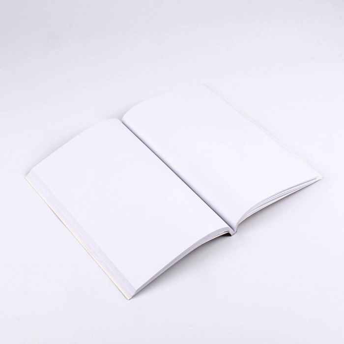 Set carnet si pix, Harry Potter Hufflepuff A5 [3]