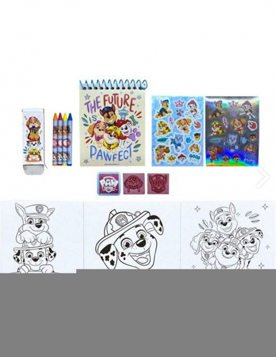 Set creativ Paw Patrol 3D [8]