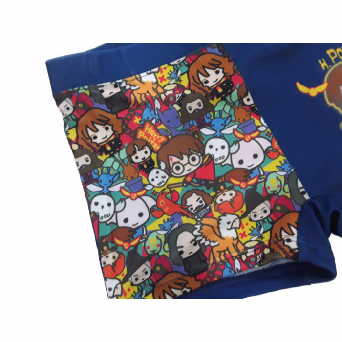 Slip boxeri, Harry Potter [2]